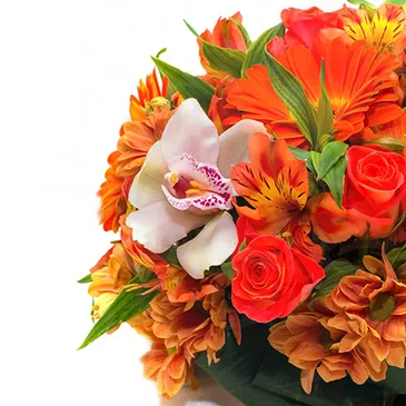 Italy flowers  -  Bouquet of orange flowers and roses Flower Bouquet/Arrangement