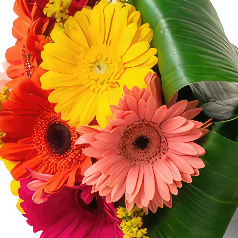 Belém blomster- Bukett med 8 fargerike gerberas og sjokolade Blomsterarrangementer bukett