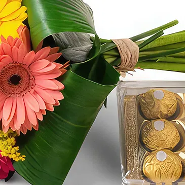 Santa Maria flowers  -  Bouquet of 8 Colorful Gerberas and Chocolates Flower Bouquet/Arrangement