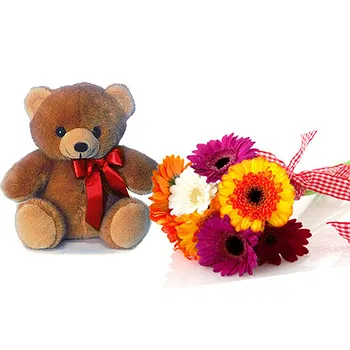 San Marino flowers  -  Bouquet of Gerberas and Soft Toys Flower Delivery
