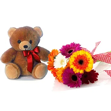 Capriolo flowers  -  Bouquet of Gerberas and Soft Toys Flower Bouquet/Arrangement