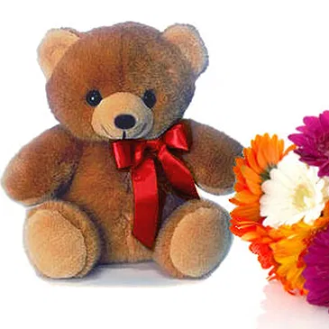Capriolo flowers  -  Bouquet of Gerberas and Soft Toys Flower Bouquet/Arrangement
