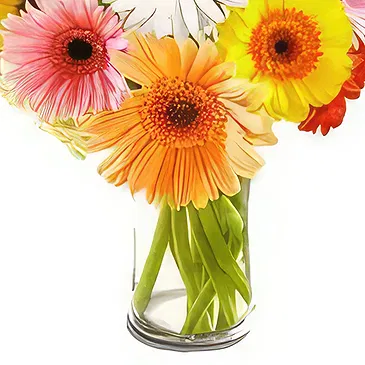 Uichang-dong flowers  -  Day Dream Flower Bouquet/Arrangement