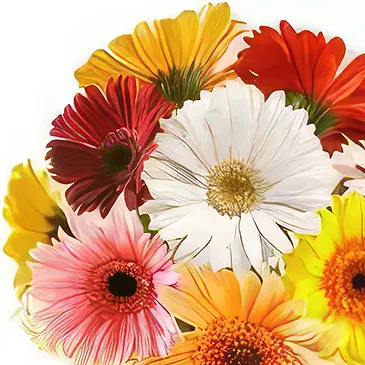Uichang-dong flowers  -  Day Dream Flower Bouquet/Arrangement