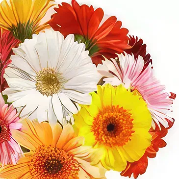 Uichang-dong flowers  -  Day Dream Flower Bouquet/Arrangement
