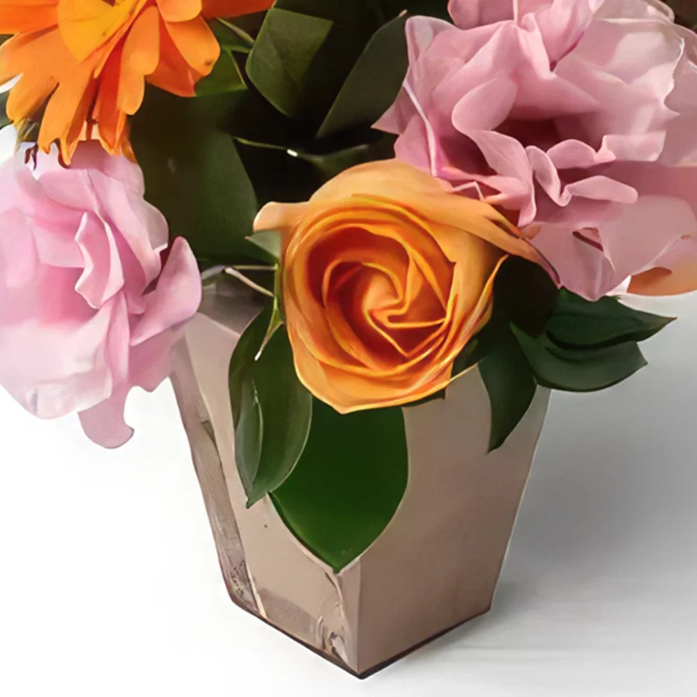 Σαλβαντόρ λουλούδια- Ρύθμιση Gerberas, λουλούδια τομέων και τριαντ Μπουκέτο/ρύθμιση λουλουδιών