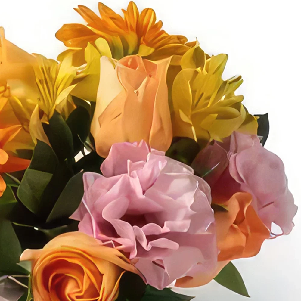 Σαλβαντόρ λουλούδια- Ρύθμιση Gerberas, λουλούδια τομέων και τριαντ Μπουκέτο/ρύθμιση λουλουδιών