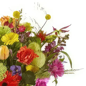 Vanlose flowers  -  Bouquet Color Palette Flower Bouquet/Arrangement