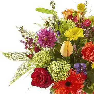 Vanlose flowers  -  Bouquet Color Palette Flower Bouquet/Arrangement