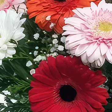 Cala Llonga flowers  -  Love & Happy Flower Bouquet/Arrangement