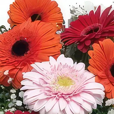 Cala Llonga flowers  -  Love & Happy Flower Bouquet/Arrangement