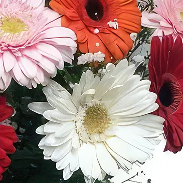 Cala Llonga flowers  -  Love & Happy Flower Bouquet/Arrangement