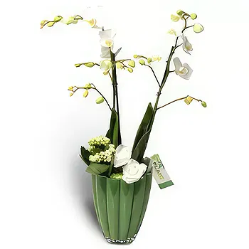 Antias flowers  -  Sheer Beauty Flower Delivery
