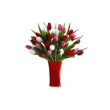 Ad Dilam blomster- Blandede tulipaner Blomsterarrangementer bukett