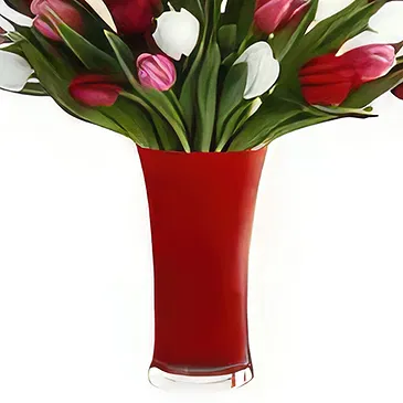 Ad Dilam blomster- Blandede tulipaner Blomsterarrangementer bukett