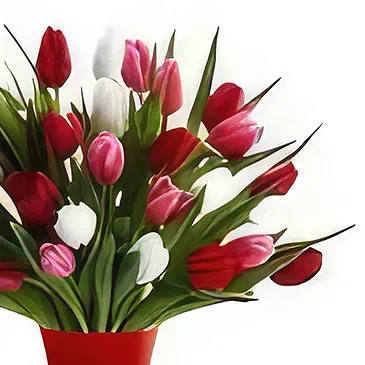 Ad Dilam blomster- Blandede tulipaner Blomsterarrangementer bukett