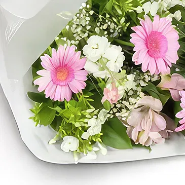 Palia Ampelia flowers  -  Summer Sunshine Flower Bouquet/Arrangement