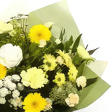 Palia Ampelia flowers  -  Gift of Lush Flower Bouquet/Arrangement