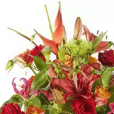Juelsminde blomster- Tillykke Blomst buket/Arrangement