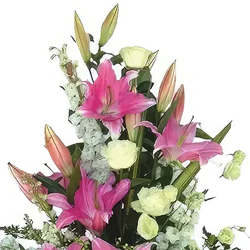 Cala Llonga flowers  -  Lily Rose Radiance Collection Flower Bouquet/Arrangement