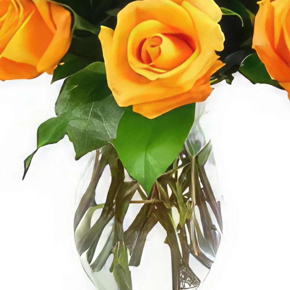 Μπράγκα λουλούδια- Χρυσή απόλαυση Μπουκέτο/ρύθμιση λουλουδιών