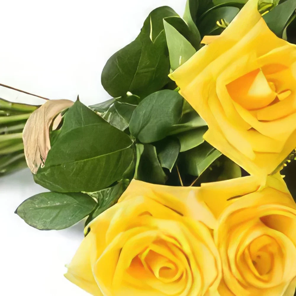 벨루 오리 존치 꽃- 12 개의 노란 장미 꽃다발 꽃다발/꽃꽂이