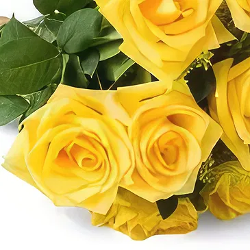 Chile flowers  -  Bouquet of 12 Yellow Roses Flower Bouquet/Arrangement
