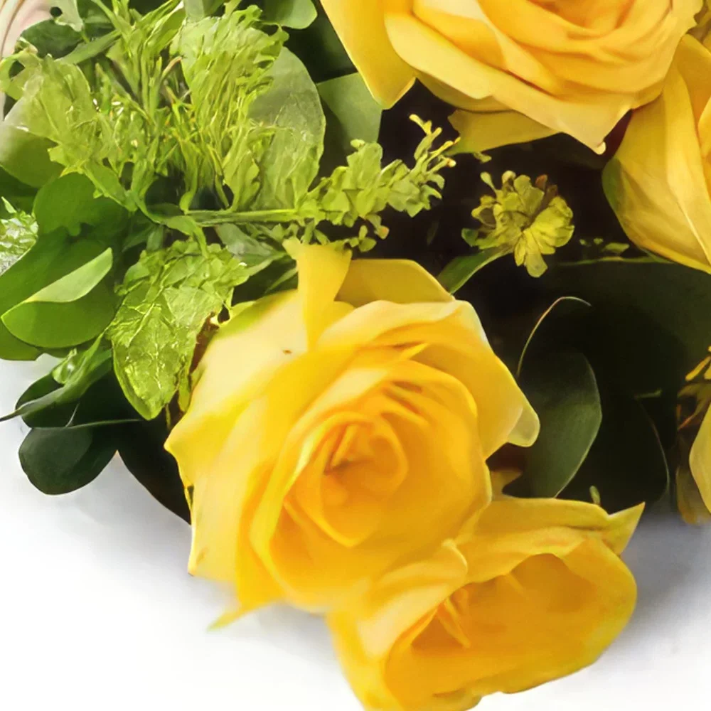רסיפה פרחים- זר של 8 ורדים צהובים זר פרחים/סידור פרחים