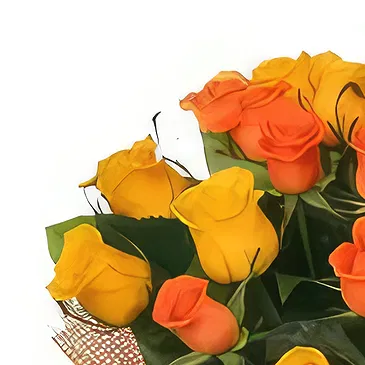 Sofia flowers  -  Buoyant Bouquet Flower Bouquet/Arrangement