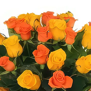 Sofia flowers  -  Buoyant Bouquet Flower Bouquet/Arrangement