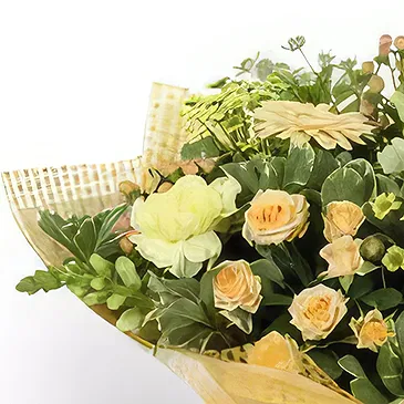 Palia Ampelia flowers  -  Spectacular Surprise Flower Bouquet/Arrangement