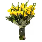 Italy online Florist - Yellow freesias Bouquet