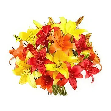 Sitrah blommor- Färgglada asiatiska Lillies Bukett/blomsterarrangemang
