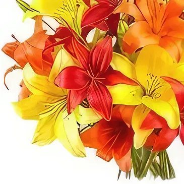 Sitrah blommor- Färgglada asiatiska Lillies Bukett/blomsterarrangemang