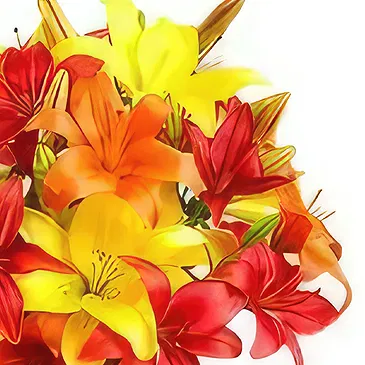 Sitrah blommor- Färgglada asiatiska Lillies Bukett/blomsterarrangemang