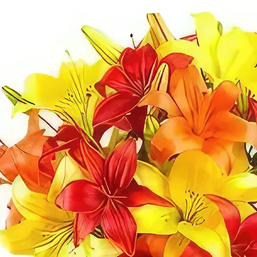 Sitrah blommor- Färgglada asiatiska Lillies Bukett/blomsterarrangemang