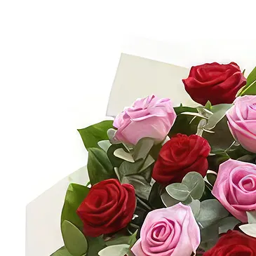 Sofia flowers  -  Party Time Flower Bouquet/Arrangement