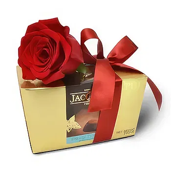 Kravino flowers  -  Cute With a Twist Flower Delivery
