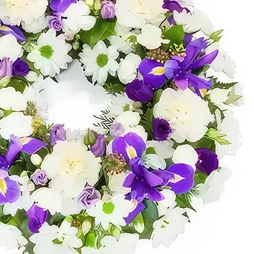 Swallow flowers  -  Calmness Flower Bouquet/Arrangement