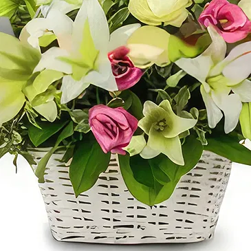 Ðông Hà flowers  -   Sincere Condolences Flower Bouquet/Arrangement