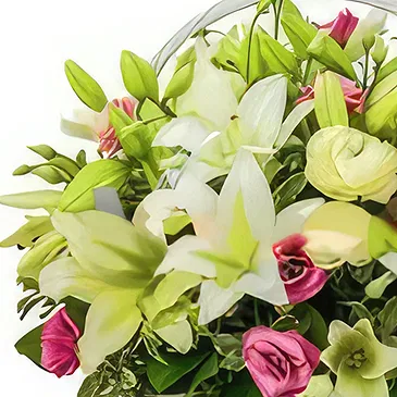 Ðông Hà flowers  -   Sincere Condolences Flower Bouquet/Arrangement