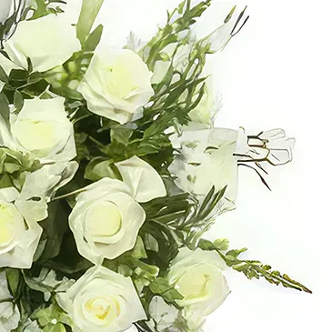 Nea Krya Vrysi flowers  -  heaven's pearl Flower Bouquet/Arrangement