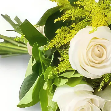 Santa Maria flowers  -  Bouquet of 8 White Roses Flower Bouquet/Arrangement