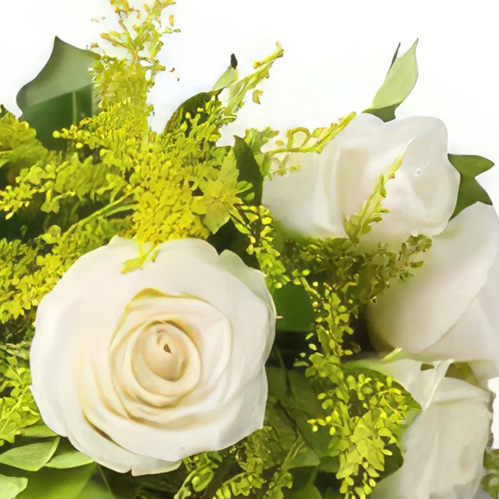サンパウロ 花- 8本の白いバラのブーケ 花束/フラワーアレンジメント
