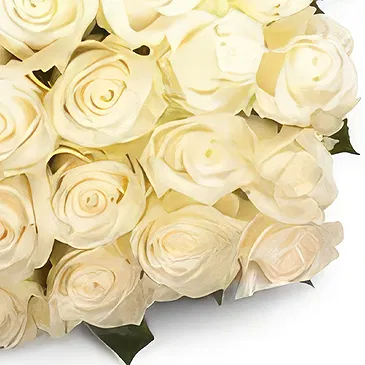 flores Gafsa Sud floristeria -  manojo de perla Ramo de flores/arreglo floral
