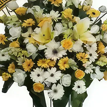 Semarang blomster- Garbera & Lilies Flowers Stand Blomst buket/Arrangement