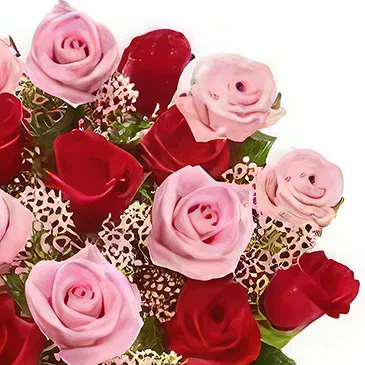 Ad Dilam blomster- Rosa og røde roser Blomsterarrangementer bukett