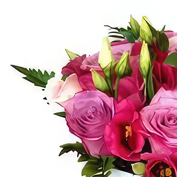Sofia flowers  -  L'abeille Flower Bouquet/Arrangement