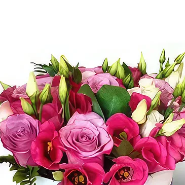 Sofia flowers  -  L'abeille Flower Bouquet/Arrangement