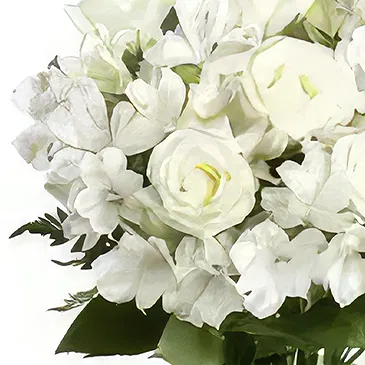 Budapest flowers  -  PROMISE - BOUQUET OF FLOWERS Flower Bouquet/Arrangement